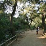 Aliso and Wood Canyons Wilderness Park