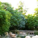 Woodlands Garden