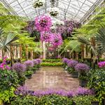 Longwood Gardens