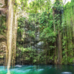 Xenotes