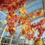 Chihuly Glass Museum
