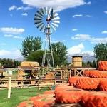 Mesilla Valley Maze