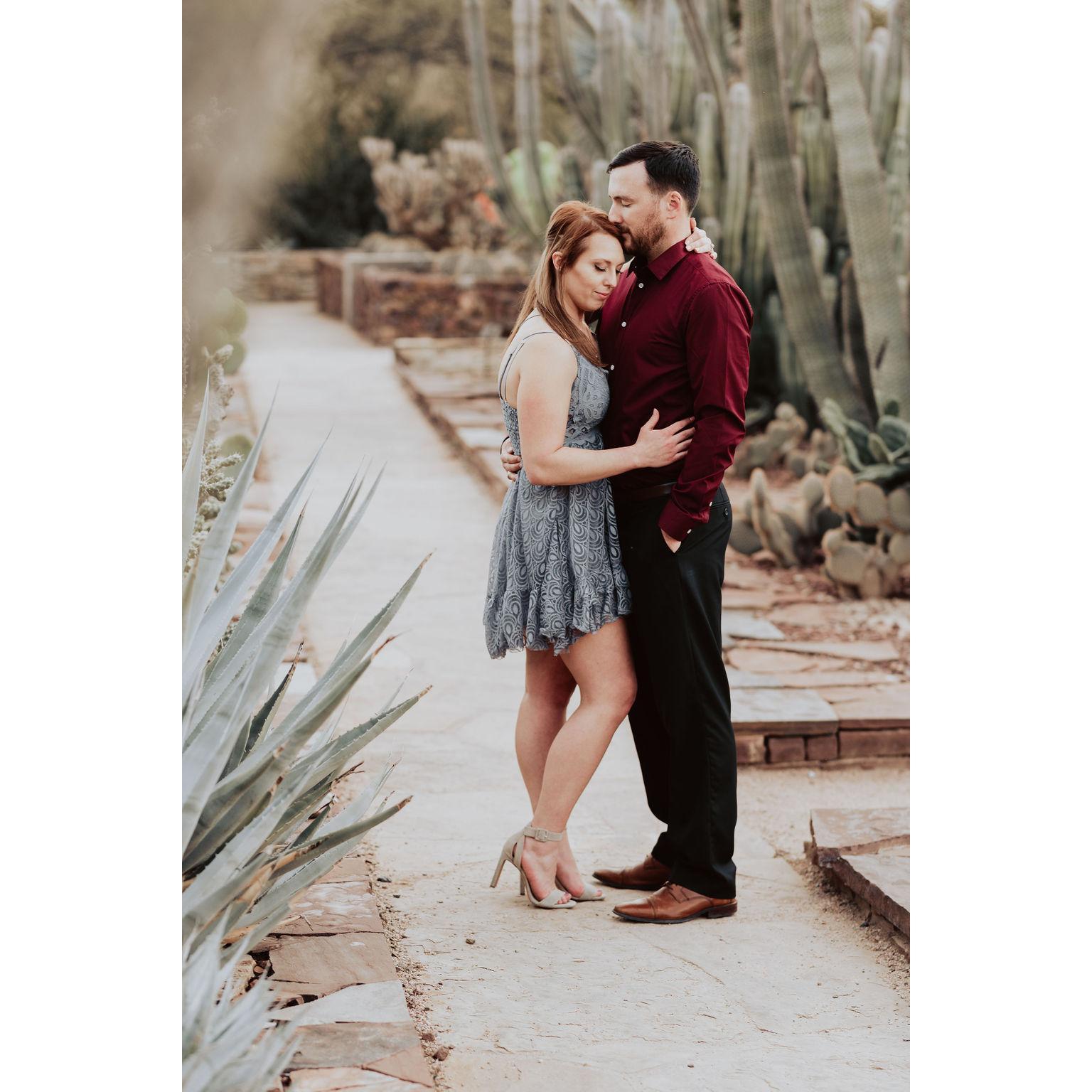 Engagement photos at the Desert Botanical Gardens