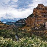 Bighorn National Forest