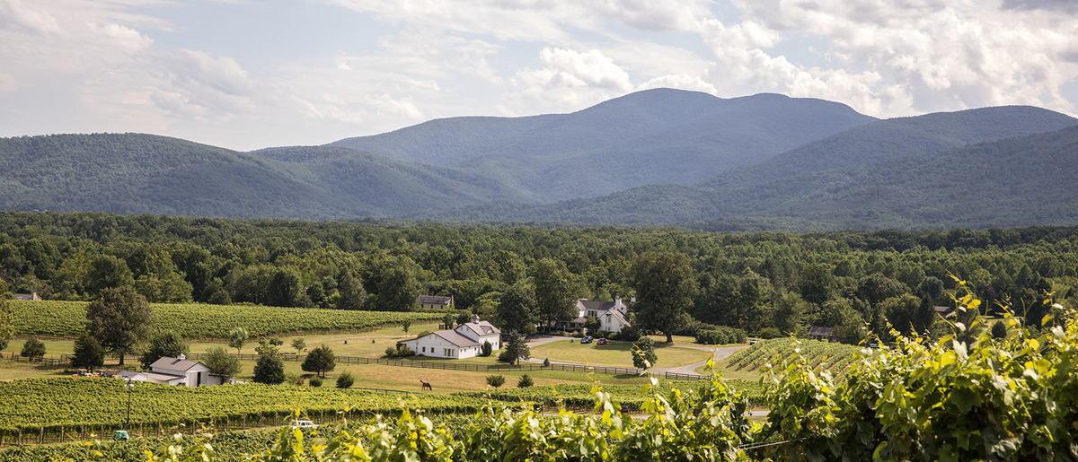 The Wedding Website of Marisa Lombardi and JW Barnard