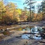 Line Creek Nature Area