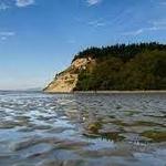 Double Bluff Beach and Off Leash Area