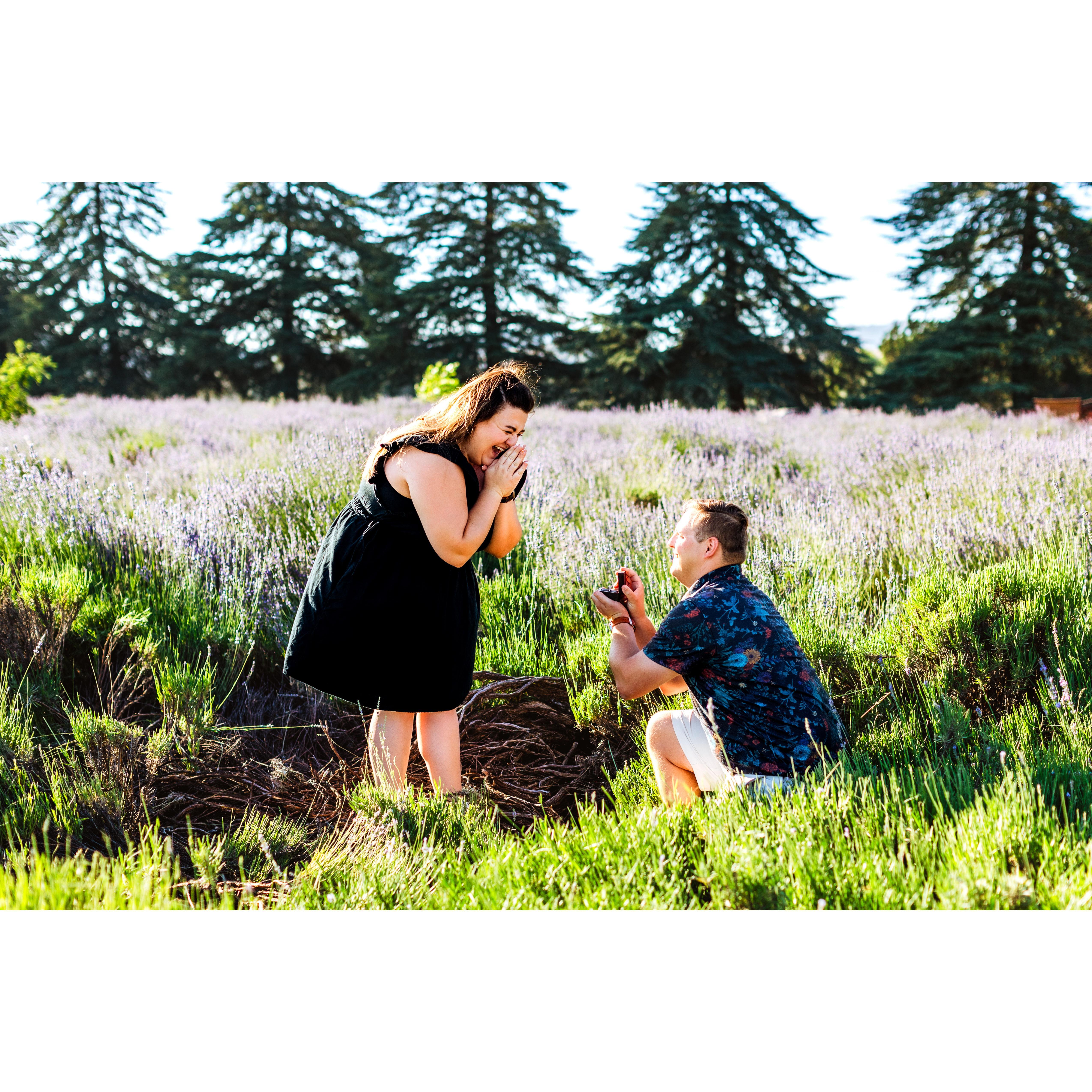 The perfect surprise moment