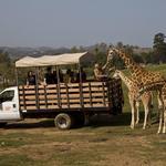 San Diego Zoo Safari Park