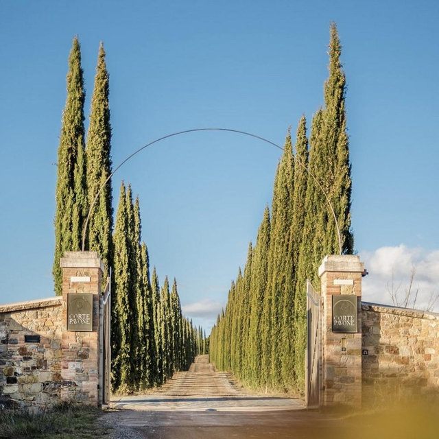 Corte Pavone Winery (Tuscany)