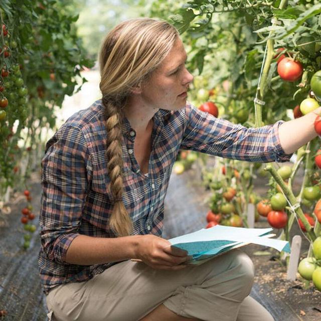 Johnny's Selected Seeds - Gift Cards
