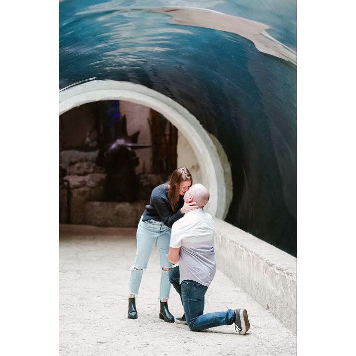 The proposal! October 2022
