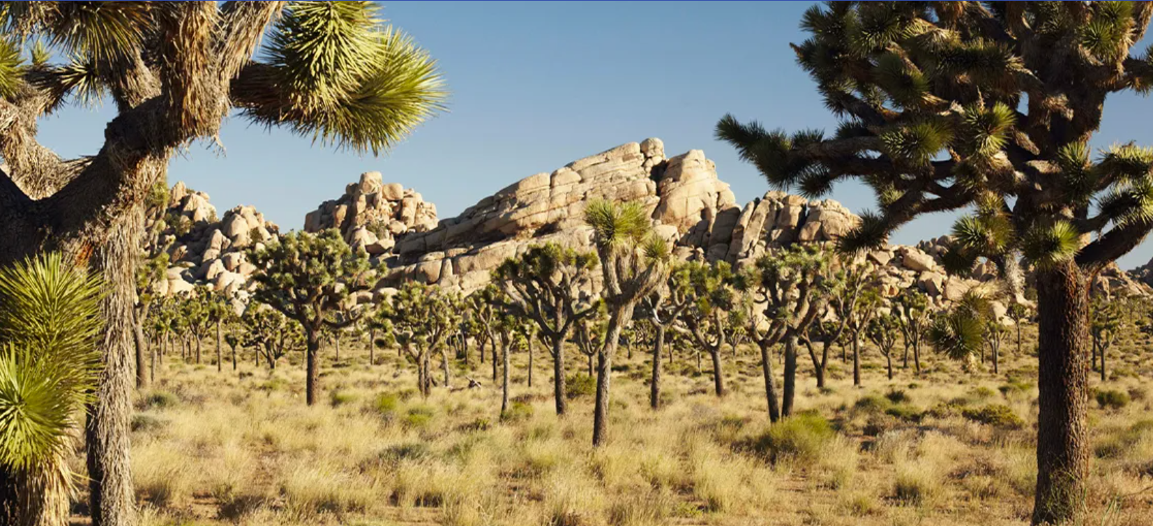 41406ca2-0c0d-4cff-b4da-046514d874c7