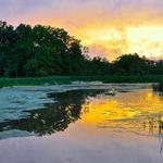 Great Swamp National Wildlife Refuge