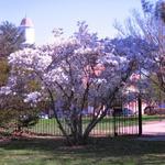 General Mansfield House Museum
