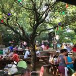Daytime Hangout Spots We Recommend