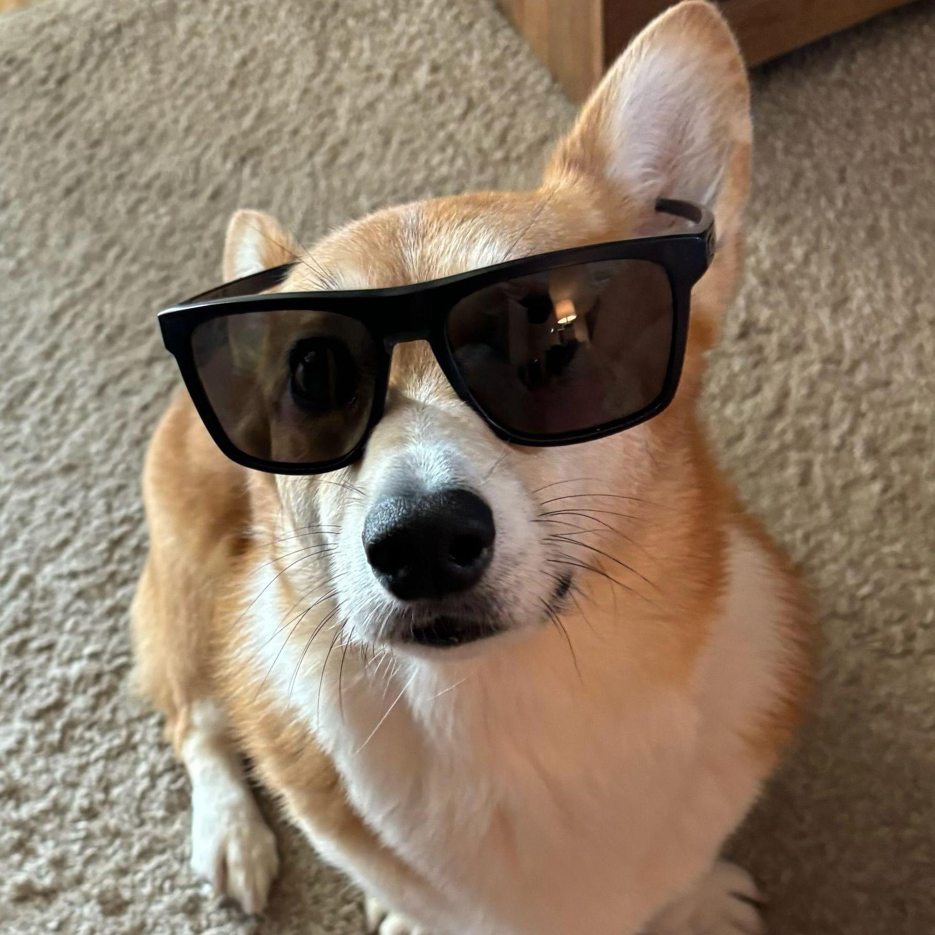 July 2024 - Max looking cool