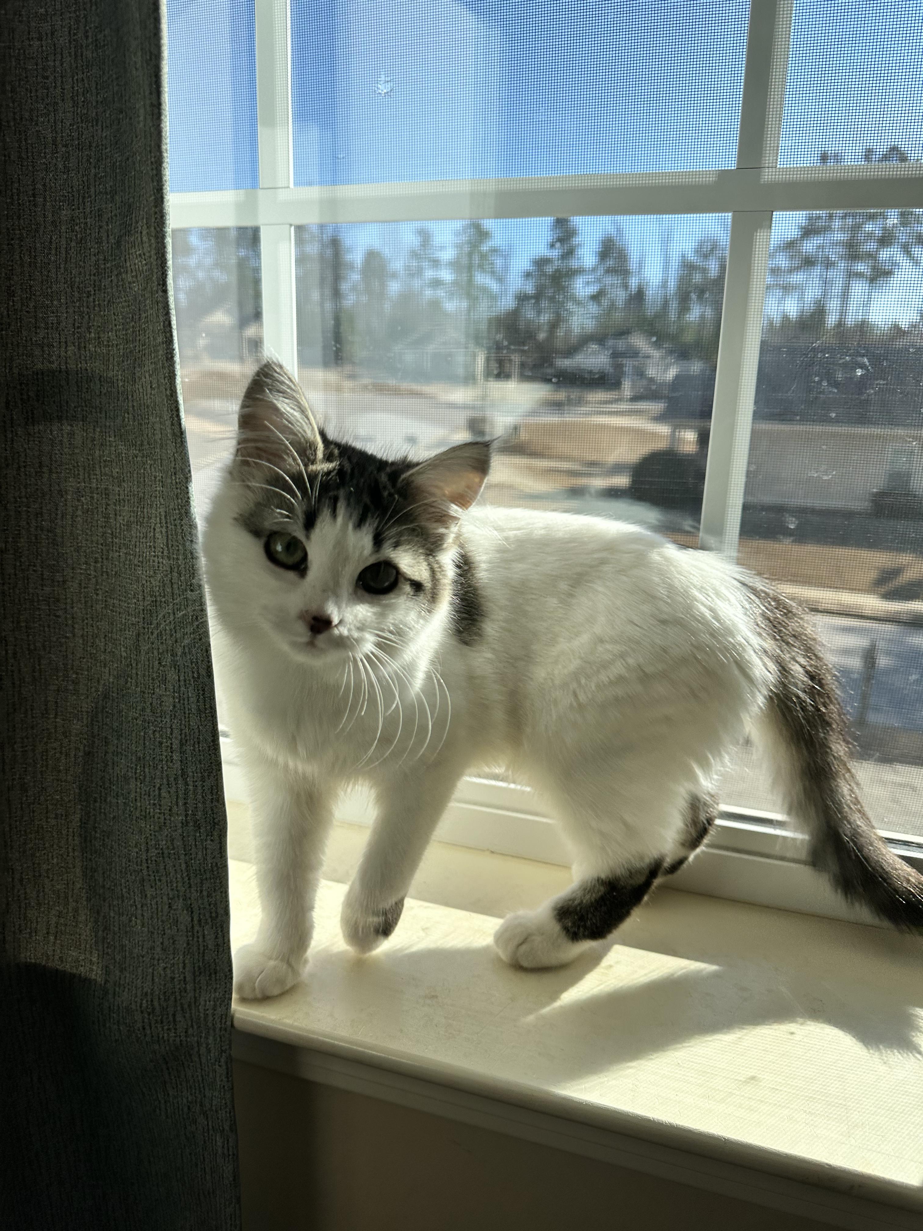 414429b1-7ab1-463f-bd9b-964ec8ba816b