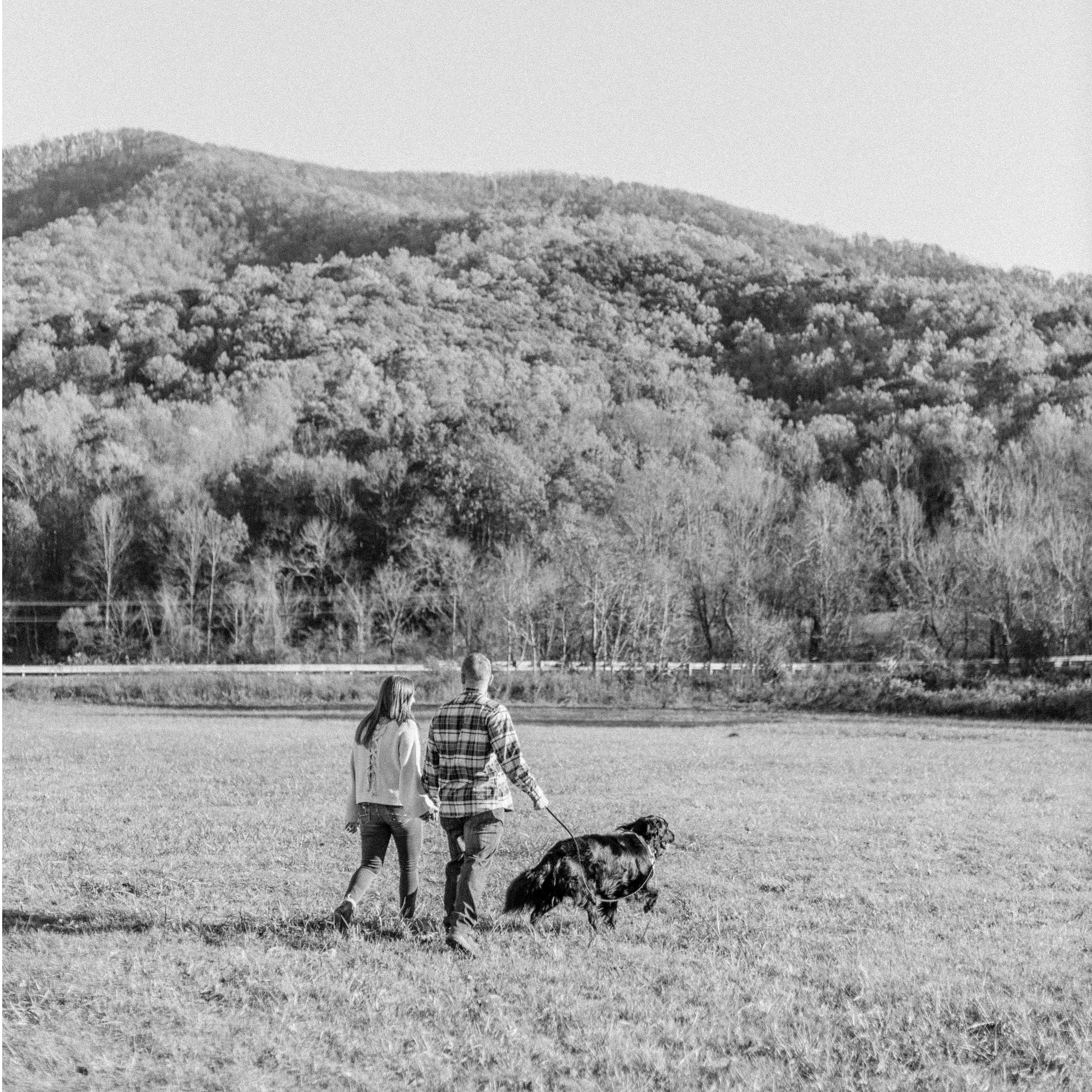 Engagement Photos, Devil’s Backbone Brewery, Nelson, Virginia.
November, 2019.