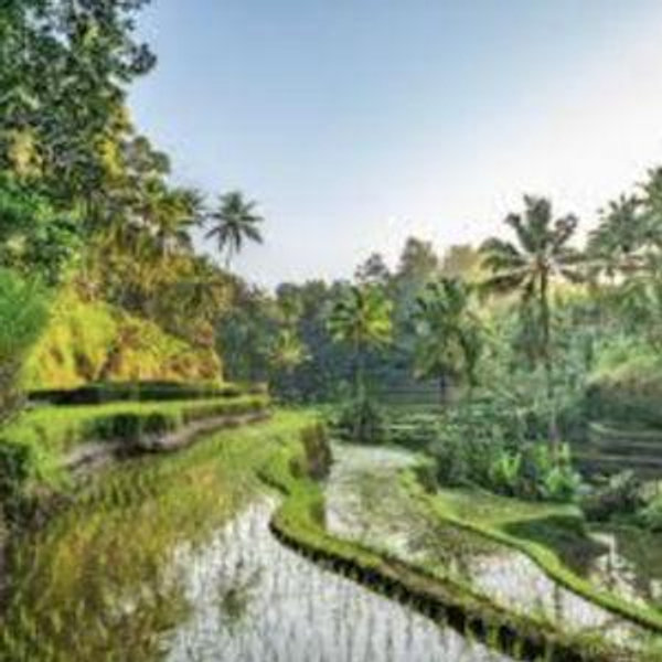Honeymoon Fund - Indonesia/Thailand