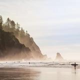 Oswald West State Park (Multiple Hikes, Short Sand Beach aka shorty's) is Favorite short hike