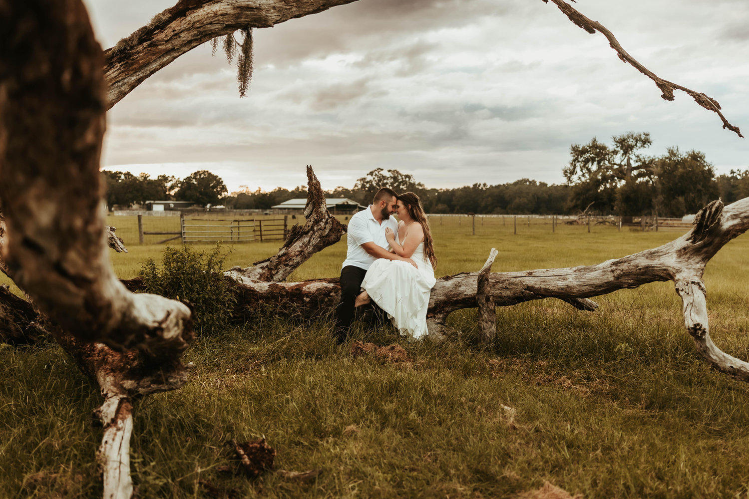 The Wedding Website of Johanna Stachurski and Paul Stachurski