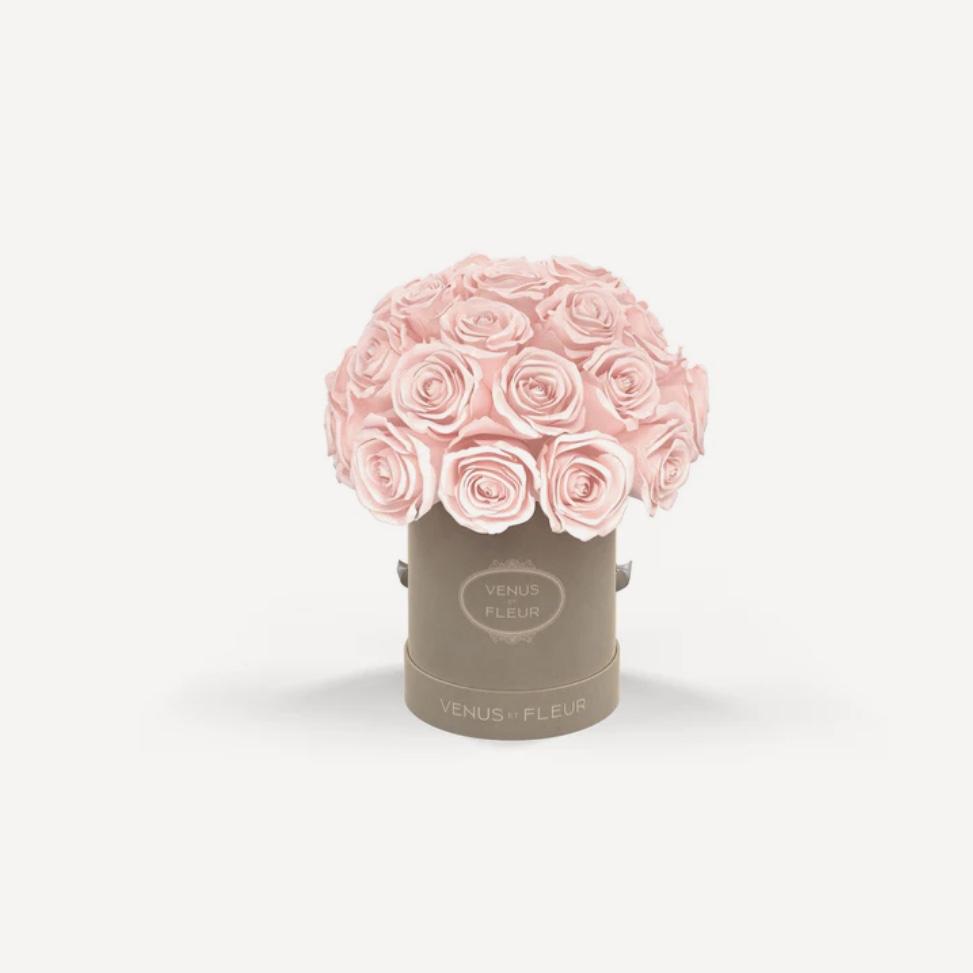 Mini Le Plein - Cream Suede with Eternity Roses