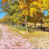 Parque Europa (Lucena)