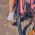 Bike Tour