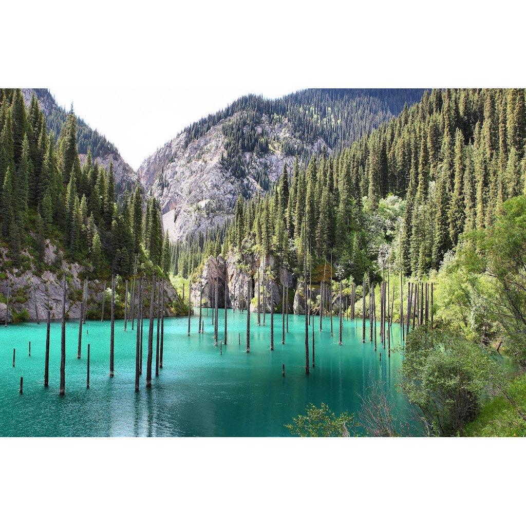 Kaindy Lake - underwater forest