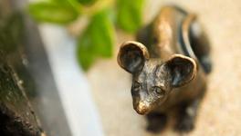 Mice On Main