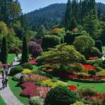 JC Raulston Arboretum