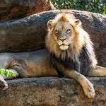Zoo Atlanta