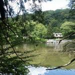 Esopus Bend Nature Preserve