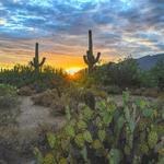 Sabino Canyon
