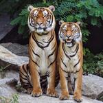 Oregon Zoo