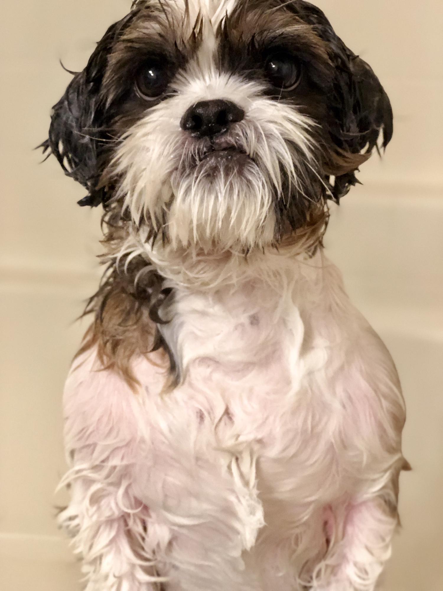 He hates bath time