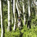 Linn Canyon Ranch - Horse back riding (Idaho)