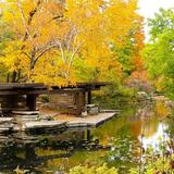 Alfred Caldwell Lily Pool