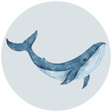 Mystic Aquarium