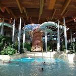 Aqualagon