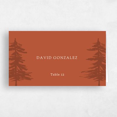 Rust, Orange Wedding Place Card - Camden