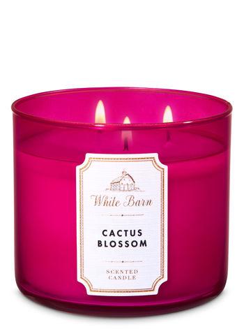 Cactus Blossom 3-Wick Candle
