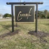 Ceccoli Vineyards
