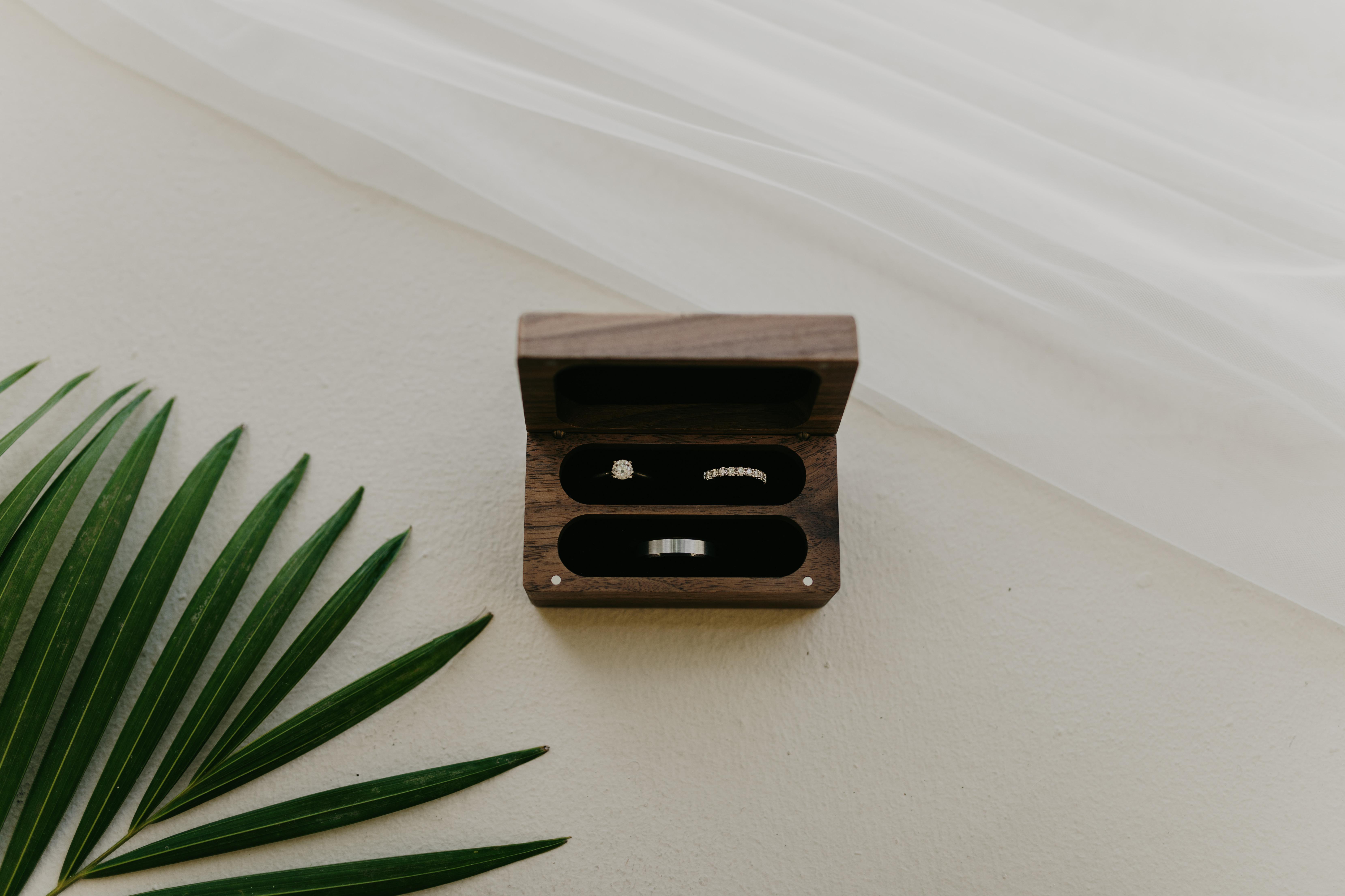 The Wedding Website of Kyle Robert and Emily Lynn