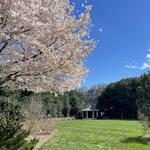 UT Gardens Knoxville