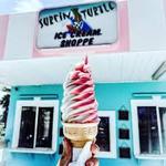 Surfin' Turtle Ice Cream Shoppe