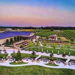 Country Heritage Winery Summer Concert Series