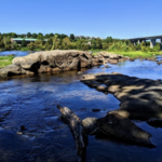 Belle Isle and Brown's Island