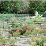 Reynolda Gardens